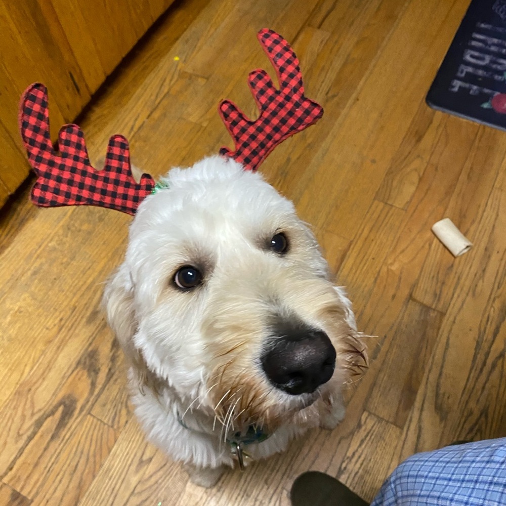 Meet your Posher, Erin